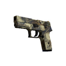 P250 | Заражение (Немного поношенное)