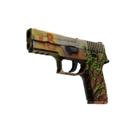 StatTrak™ P250 | Инферно (Немного поношенное)