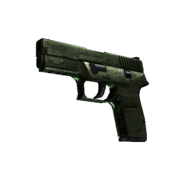 StatTrak™ P250 | Железное покрытие (Немного поношенное)