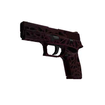 StatTrak™ P250 | Загрязнитель (Немного поношенное)