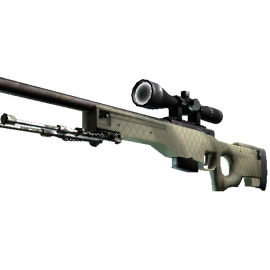 AWP | Африканская сетка (Немного поношенное)