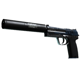 USP-S | Страж (После полевых испытаний)